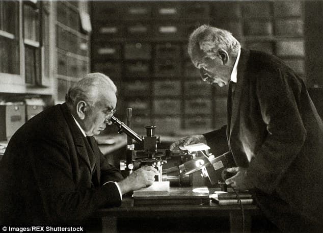 🎥 როგორ დაიწყო კინოს ეპოქა - ლუმიერების რევოლუცია