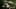 preload