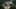 preload