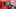 preload