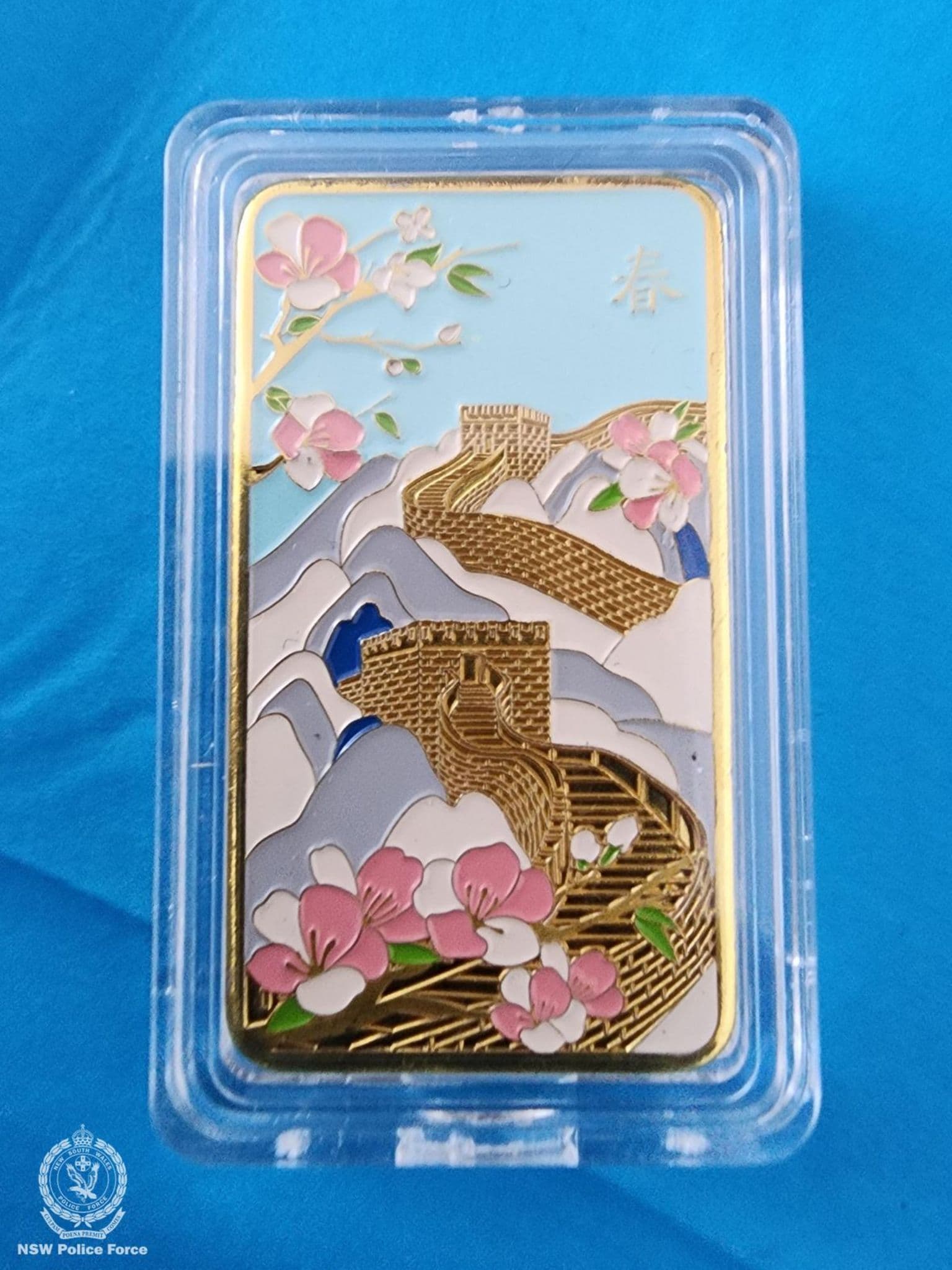 დედა-ქალიშვილის დუეტი ავსტრალიაში 69 მილიონი დოლარის სავარაუდო თაღლითობის გამო დააკავეს