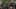 preload