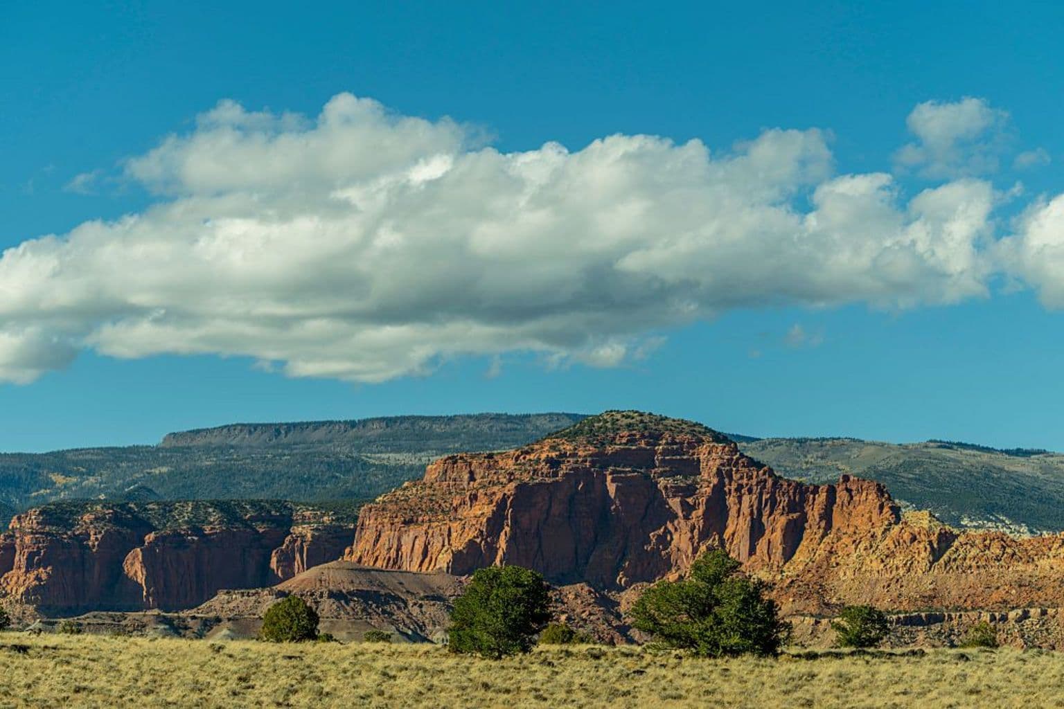 ეჭვმიტანილი სამი ქალის მკვლელობაში დააკავეს კოლორადოში