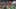 preload