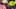 preload
