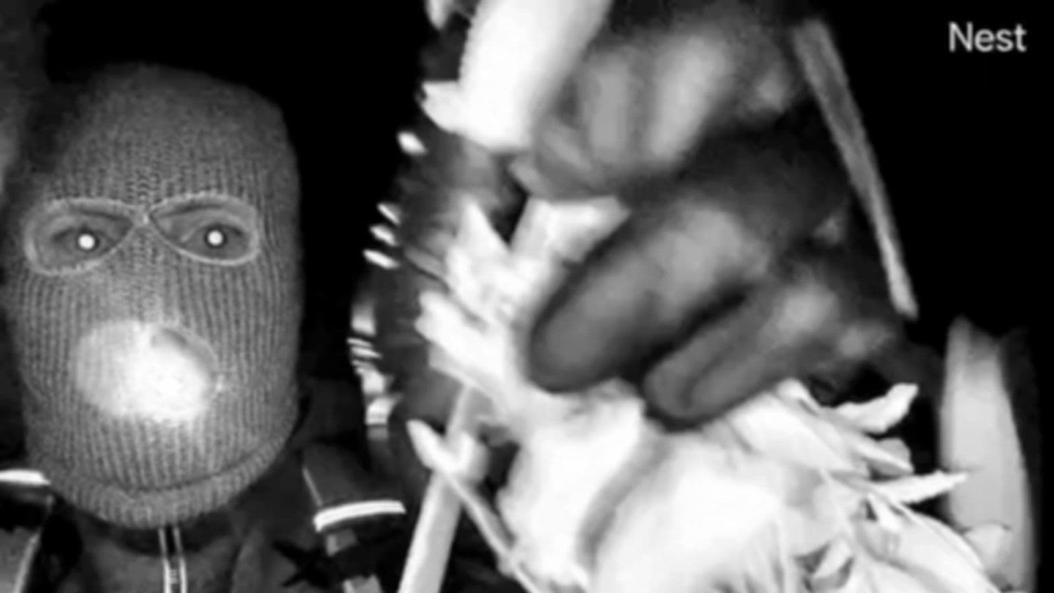 FBI-მ გამოაქვეყნა ნიღბიანი პირის სურათები, რომელსაც ეძებენ ნენსი გუთრის სახლიდან გაუჩინარებიდან რვა დღეზე მეტი ხნის შემდეგ