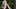preload