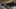 preload