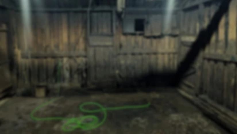 თერჯოლასა და ზესტაფონში ცხოველთა არალეგალური სასაკლაოები გამოავლინეს