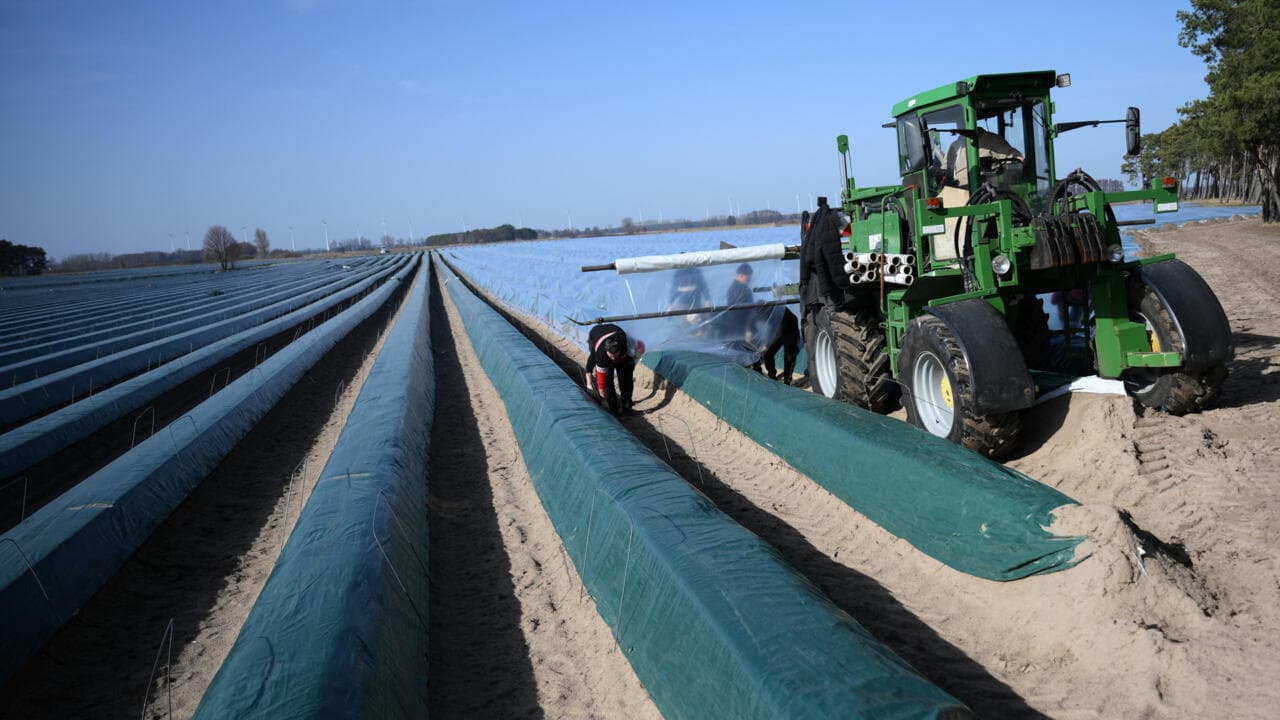 ევროპის კავშირმა და ავსტრალიამ თავისუფალი ვაჭრობის შეთანხმებას მიაღწიეს