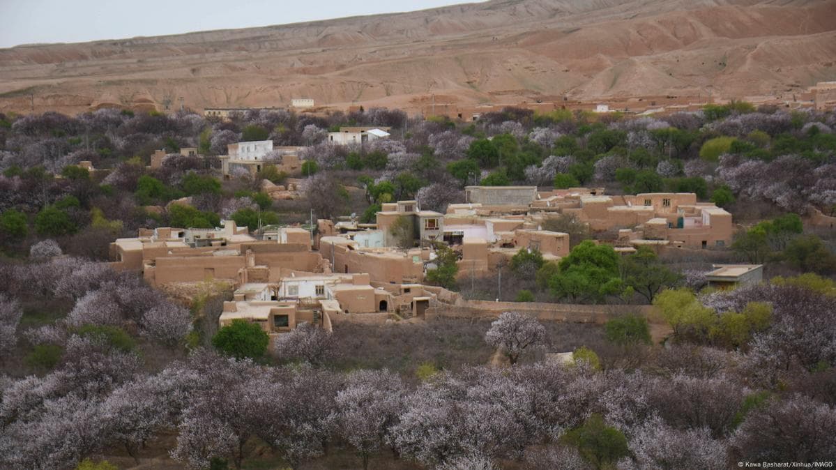 ძლიერი მიწისძვრა ავღანეთში