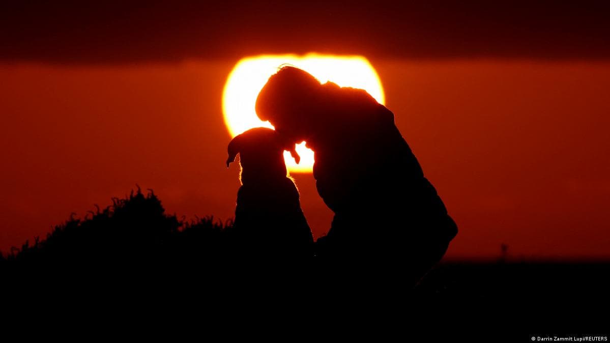 ყველაზე ადრეული ცნობილი ძაღლი 15,800 წლის წინ ცხოვრობდა