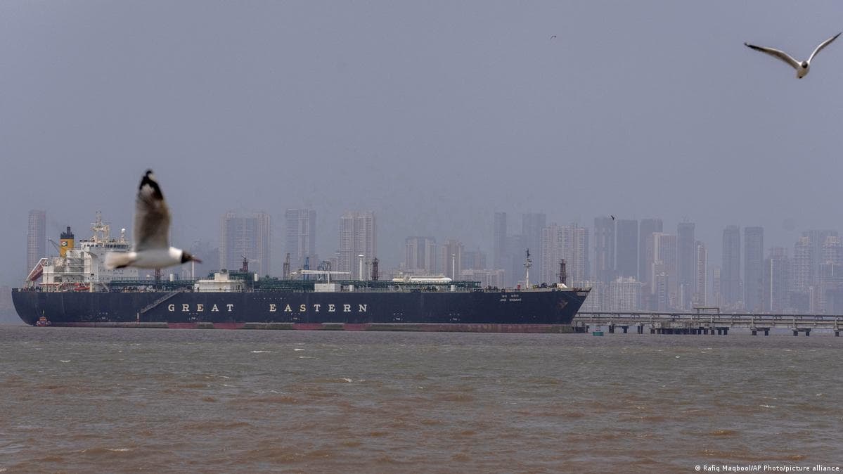 დივია ჯახარი: მოდის ინსაიდერიდან ლანდშაფტის დიზაინერამდე