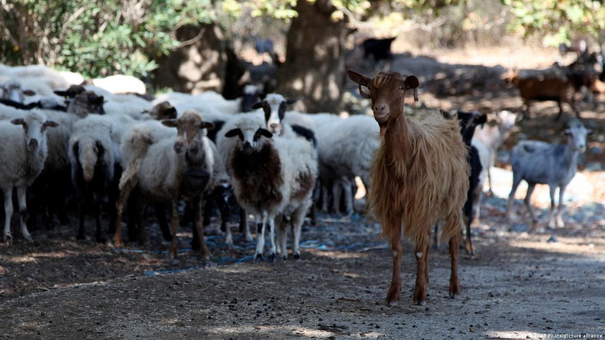 საბერძნეთის მთავრობაში ცვლილებები სკანდალის ფონზე