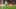 preload