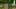 preload