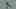 preload