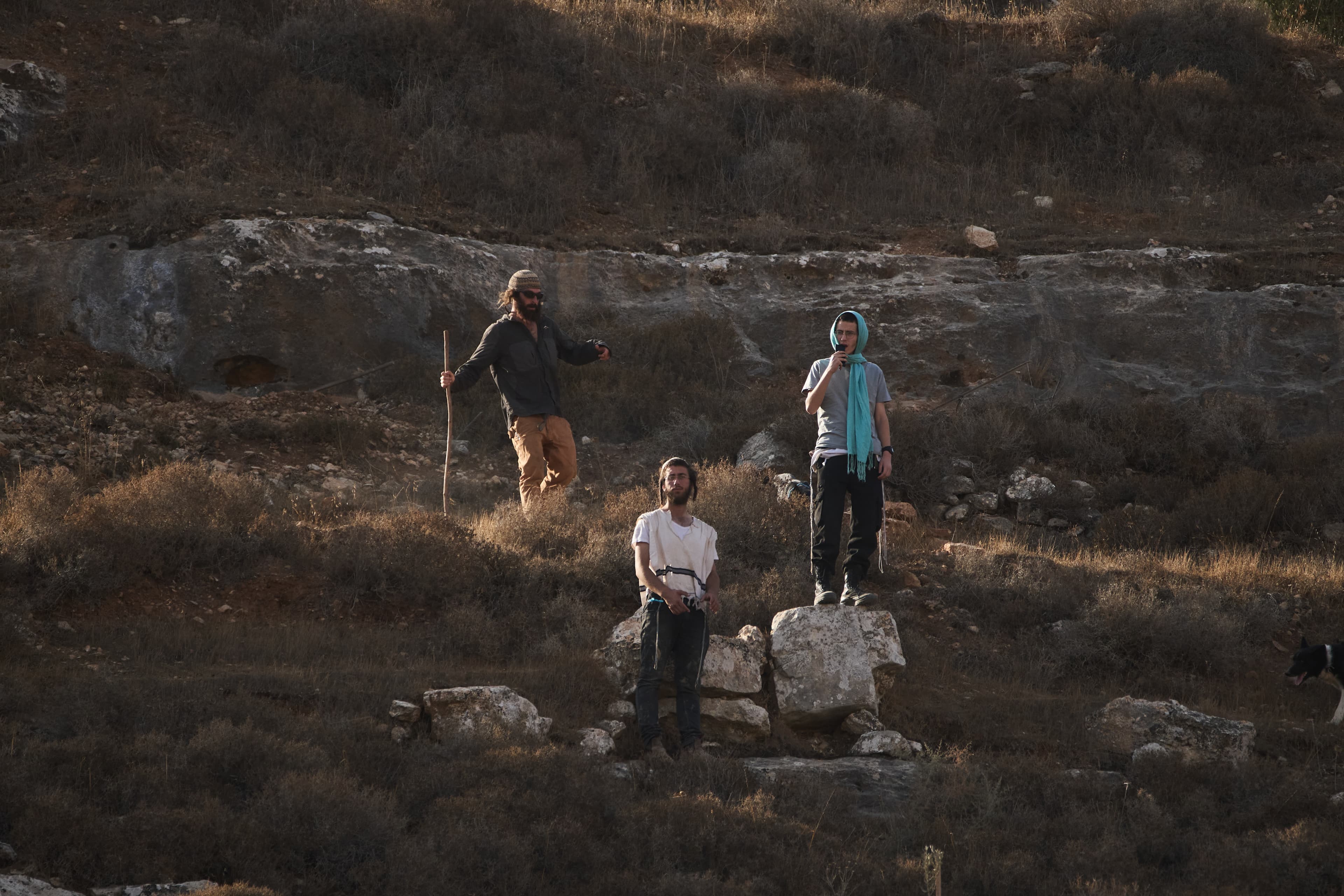 პალესტინელი ფერმერები ოკუპირებულ დასავლეთ სანაპიროზე ტერორის დროს ზეთისხილის მოსავალს იღებენ