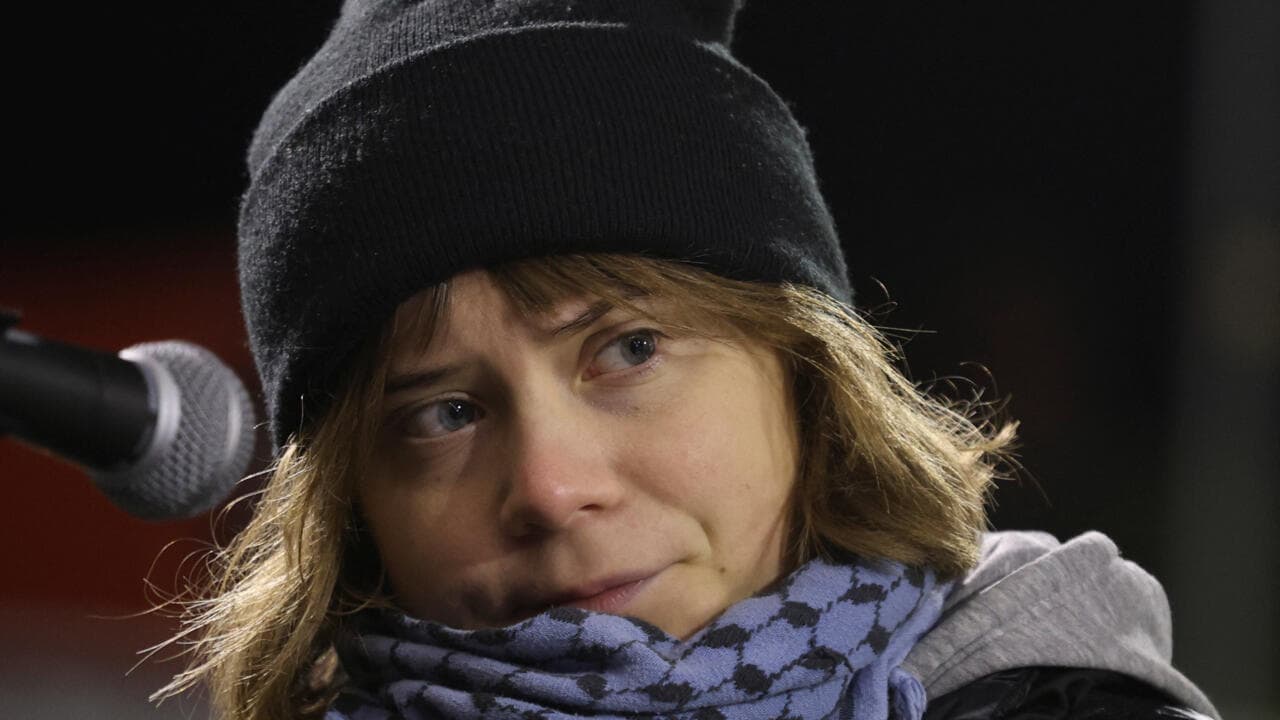 გრეტა ტუნბერგი დააკავეს ლონდონში პალესტინის მხარდამჭერი პროტესტის დროს