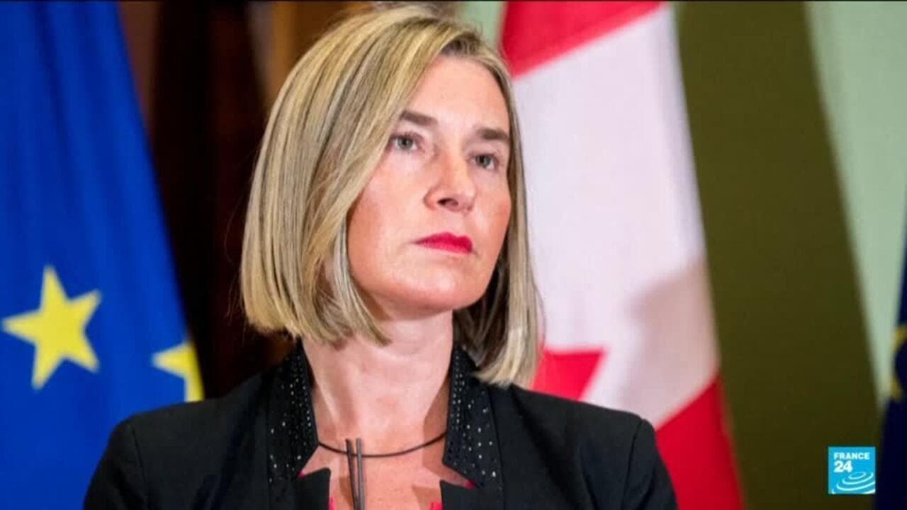 მოგერინი დაინიშნა გამოძიებისთვის 650,000 ევროს ღირებულების ევროკავშირის აკადემიის კონტრაქტის გამო