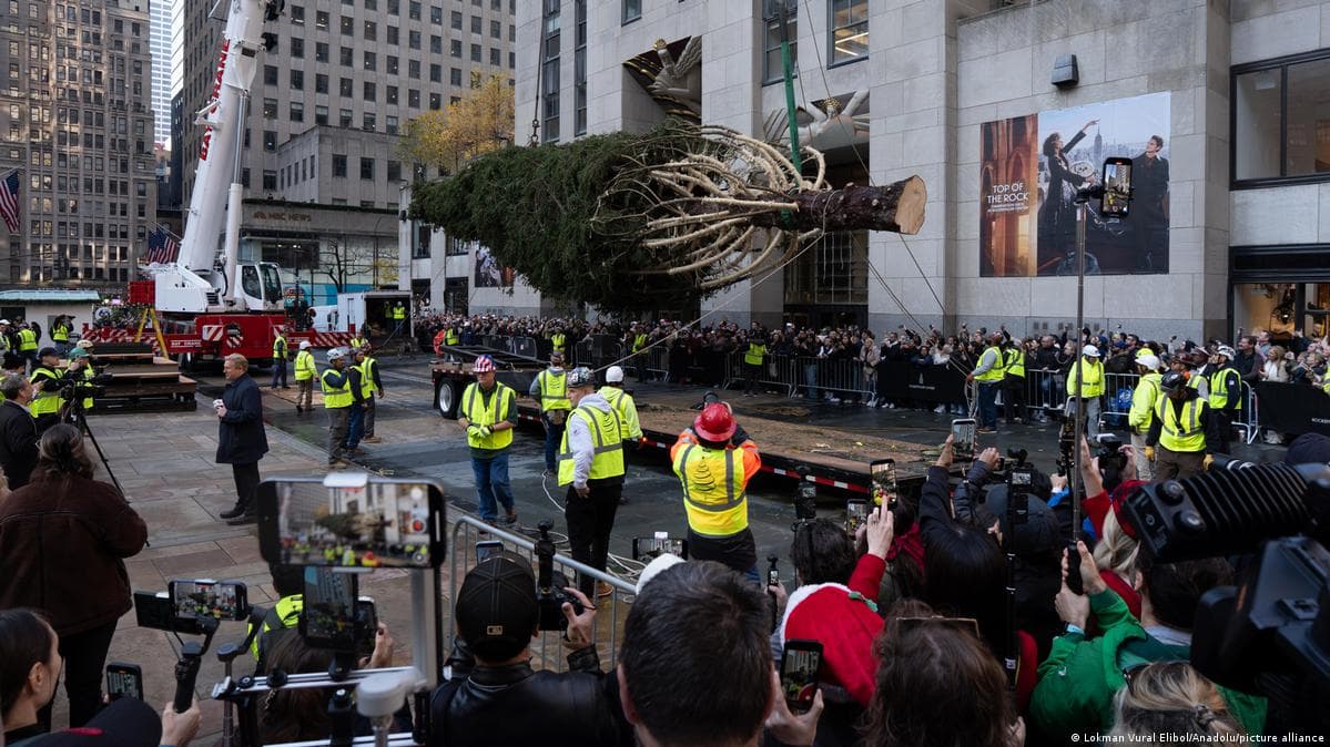 ალბანეთიდან როკფელერის ცენტრში 23-მეტრიანი ნაძვის ხე გადმოიტანეს